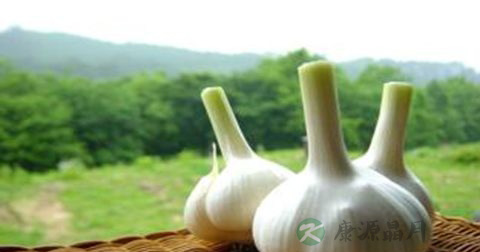 牙周炎怎么治疗