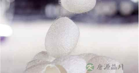 蚕茧怎么处理