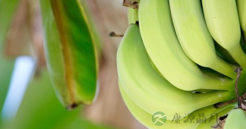 眼睛受伤肿了怎么消肿