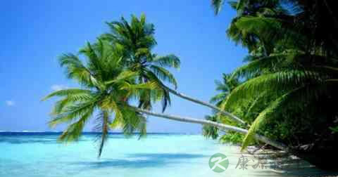 老年人旅游常备急救药
