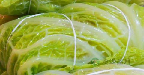 哪种食物可引起中毒