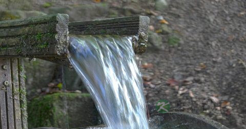 氯气中毒怎么办