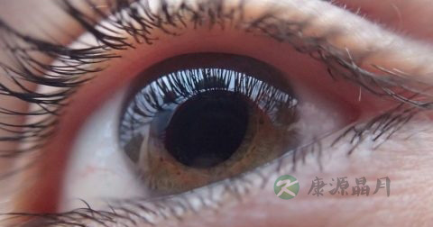 玻璃体出血怎么办