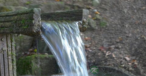 氯气泄漏时如何自救