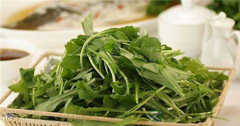 吃野菜中毒怎么办