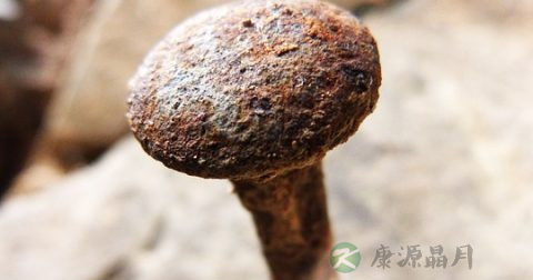 钉子扎脚该怎么办