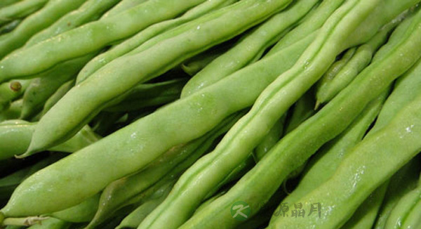 吃四季豆中毒后应该怎么办