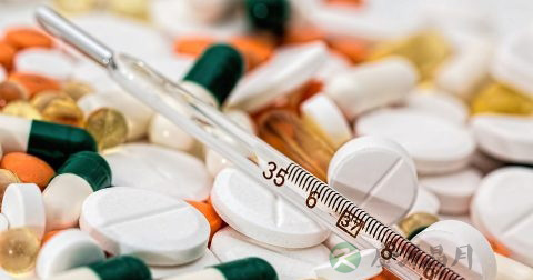 成人益生菌的种类