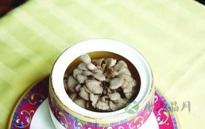 雪莲菌冬天怎么养