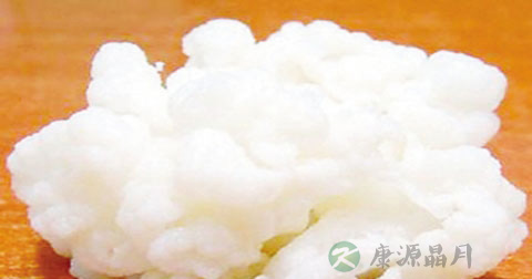 雪莲菌冬天怎么养