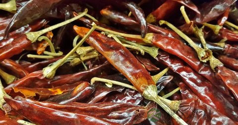 细菌性阴炎病因
