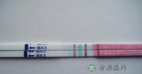 促黄体激素诊断试纸使用方法