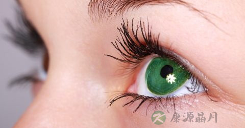 隐形眼镜网的使用方法