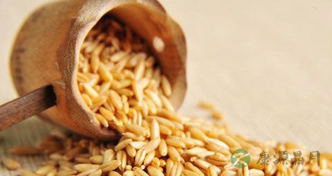 燕麦是低糖食物吗