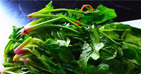 糖尿病人能吃菠菜吗