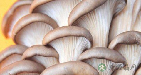 糖尿病能吃木耳吗