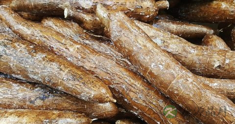 糖尿病能不能吃土豆