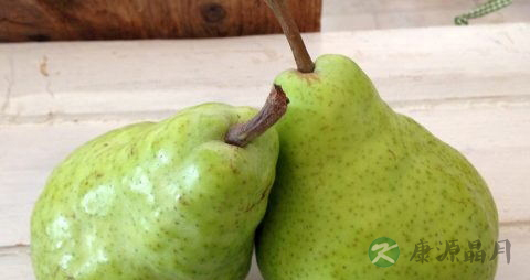 不含糖的主食
