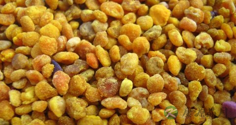 血糖偏高能吃蜂花粉吗