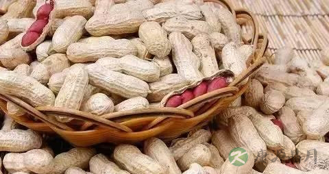 含糖量低的干果有哪些
