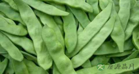 糖尿病能吃豆角吗