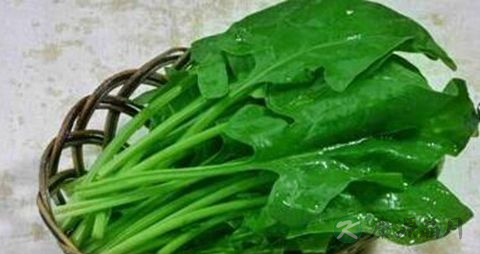 吃什么蔬菜水果降血糖