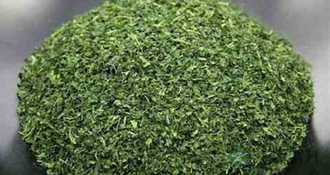 桑叶茶降血糖吗