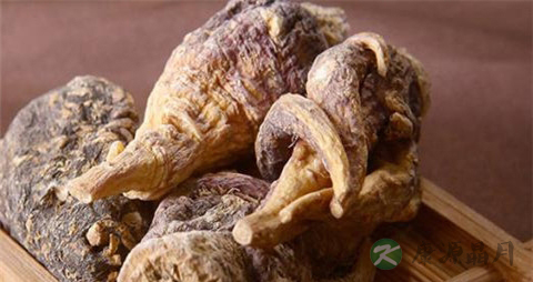 糖尿病可以吃玛卡吗
