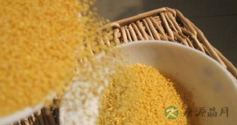 小米含糖量高吗