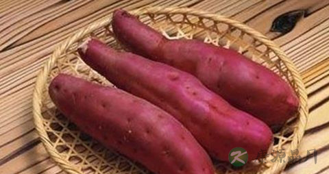 血糖高吃什么坚果好