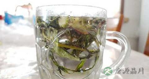 婆婆丁降血糖吗