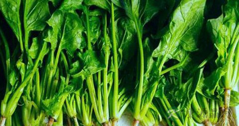 糖尿病的食物治疗