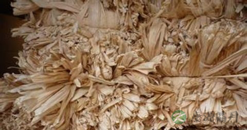 糖尿病足的治疗方法
