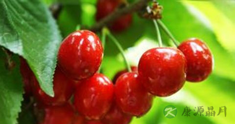 孕妇血糖偏高怎么办 孕妇血糖偏高怎么办