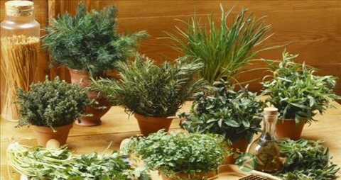 患糖尿病的几率