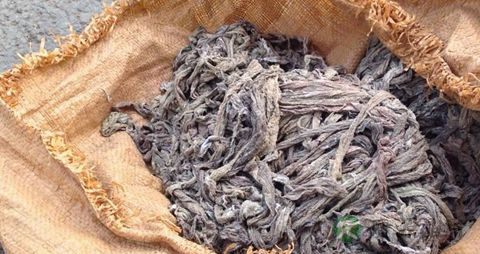 治糖尿病的秘方