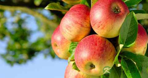 糖尿病如何引起的 糖尿病如何引起的