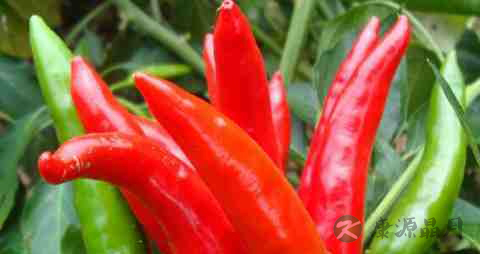 患糖尿病的人可以吃什么水果