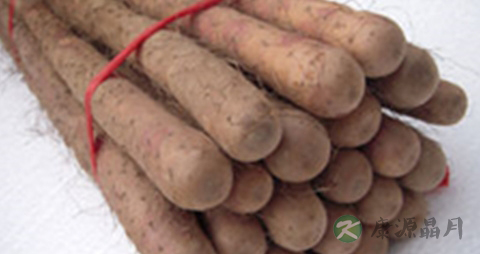 治糖尿病的野菜