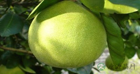 糖尿病如何治愈