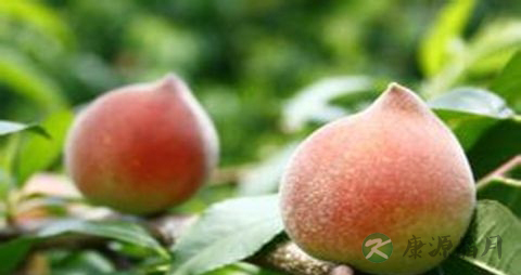 糖尿病如何控制血糖