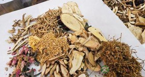 糖尿病人长吃中药有用吗