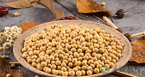 妊娠期糖尿病运动疗法