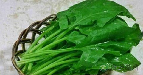 糖尿病患者的食物