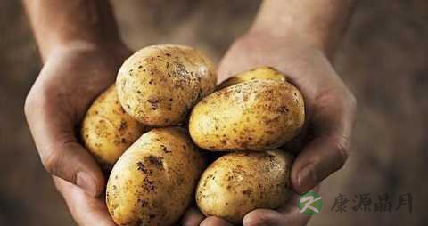 哪些人容易低血糖