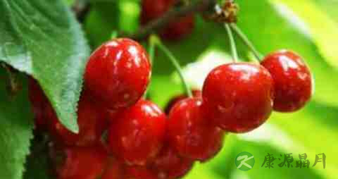 患糖尿病的人可以吃什么水果