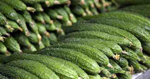 患糖尿病能吃什么水果