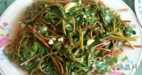 血糖17算高吗