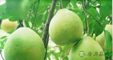 患上糖尿病怎么办