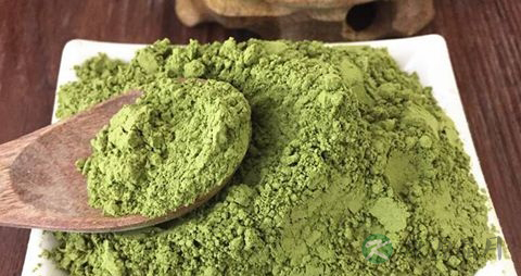 预防糖尿病喝苦瓜粉有用吗